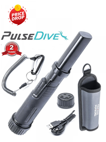 Nokta Pulsedive